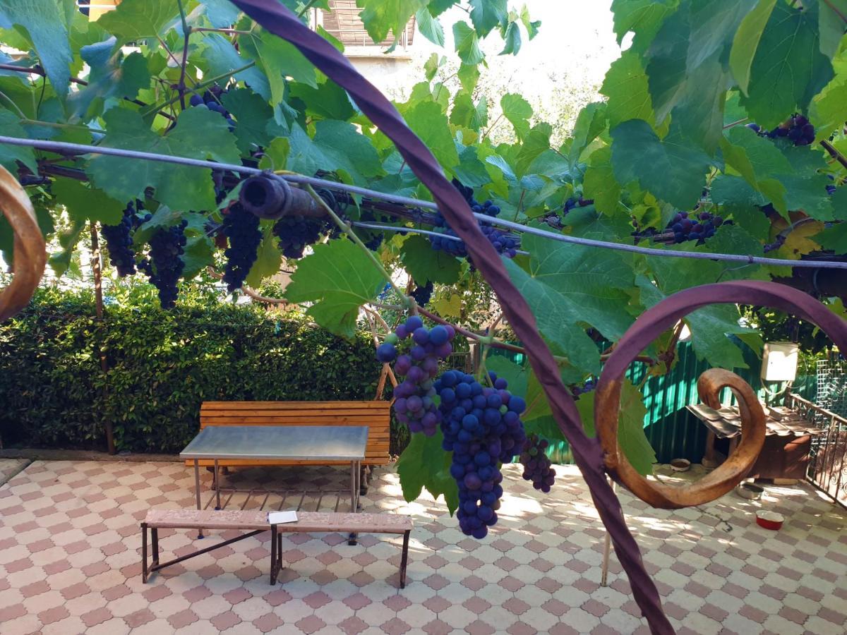 Guest House Lykhny Gagra Exterior foto